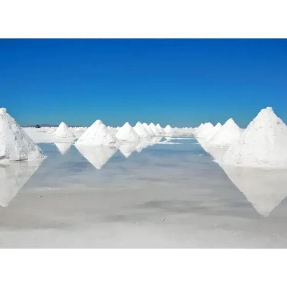 Extraction de lithium par flottation à partir de saumures de lacs salés