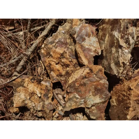 Test de traitement du minerai d'or oxydé