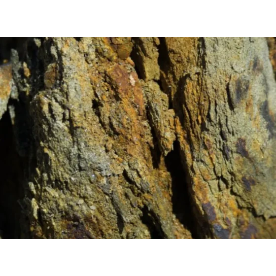 Test d'extraction d'or par lixiviation au cyanure