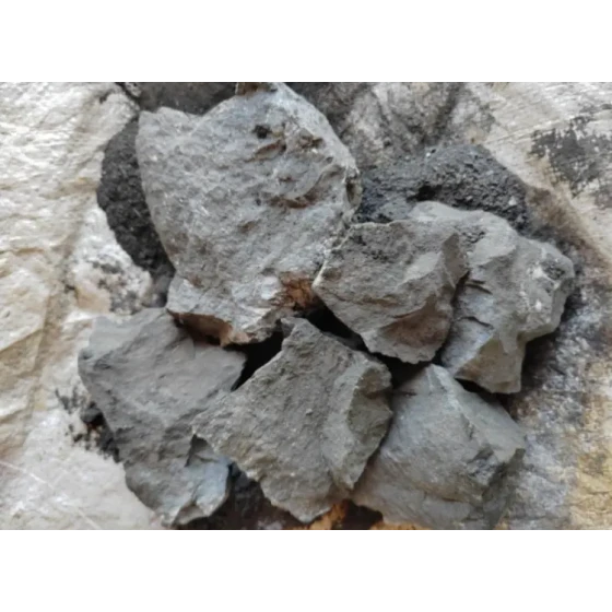 Essai de traitement minéral du minerai d'or à haute teneur en soufre