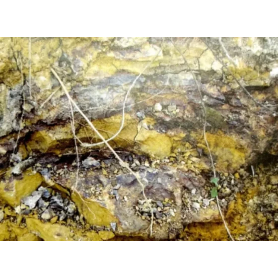 Essai de procédé de lixiviation pour les minerais associés réfractaires