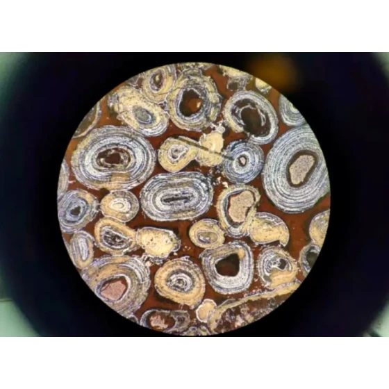 Test de déphosphoration et de désilication de l'hématite oolithique