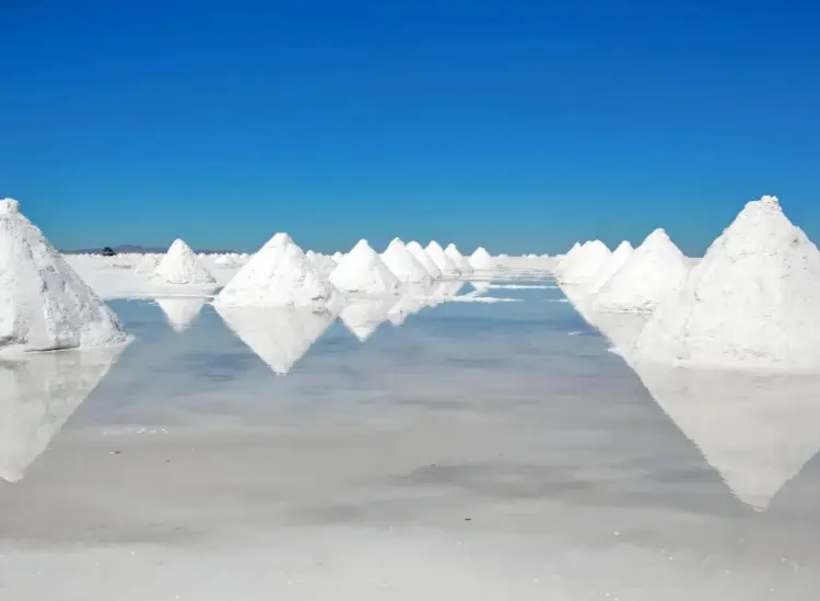 Extraction de lithium par flottation à partir de saumures de lacs salés