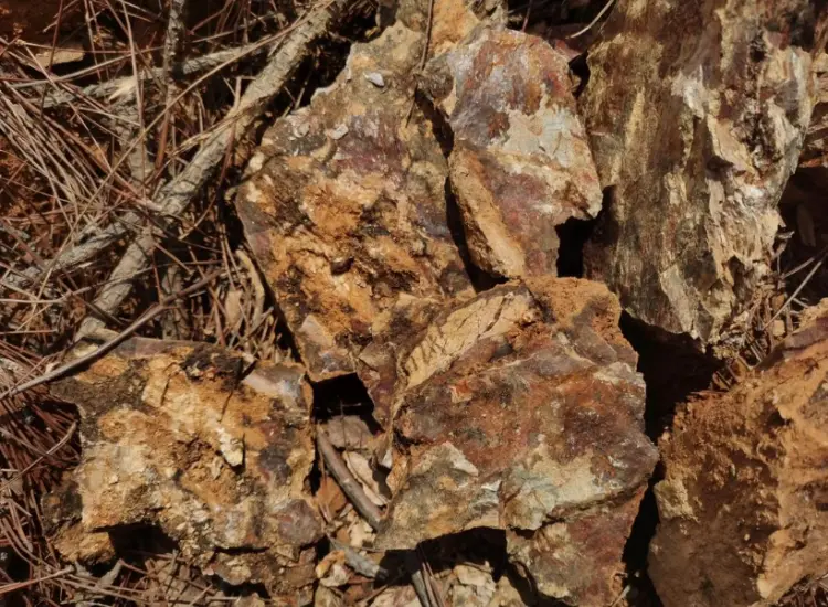 Test de traitement du minerai d'or oxydé
