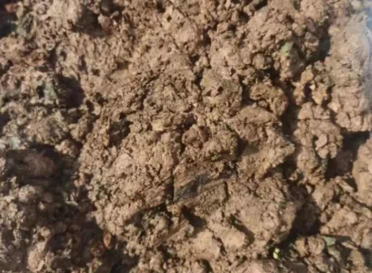 Essai de valorisation des boues de minerais d'oxydes métalliques