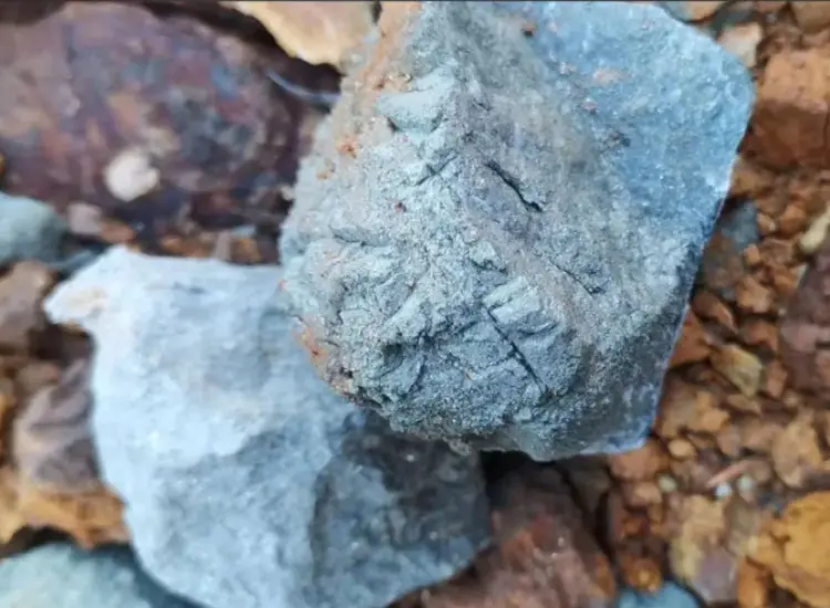 Test de récupération à partir de résidus aurifères à haute teneur en soufre