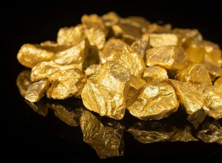 Test de flottation du minerai d'or