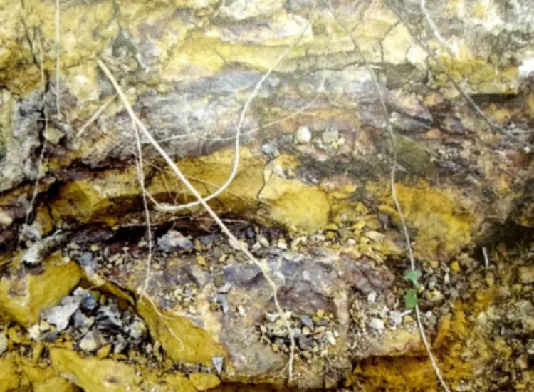 Essai de procédé de lixiviation pour les minerais associés réfractaires