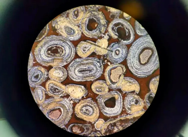 Test de déphosphoration et de désilication de l'hématite oolithique