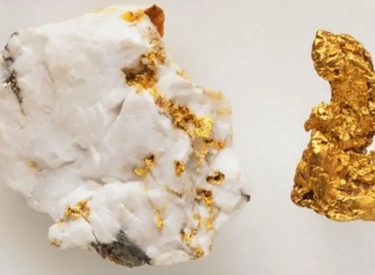 Essai de traitement minéral du minerai d'or sulfuré